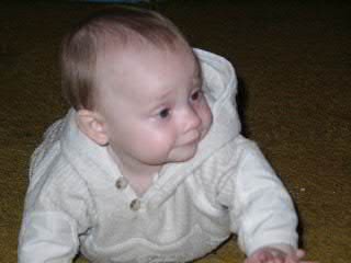 08220011.JPG (9670 bytes)